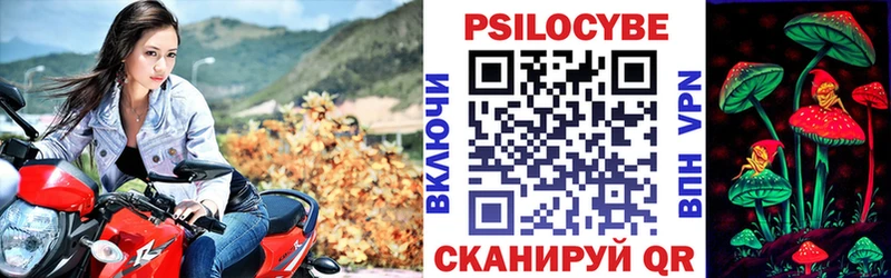 Галлюциногенные грибы Psilocybe  даркнет официальный сайт  Разумное  hydra tor 